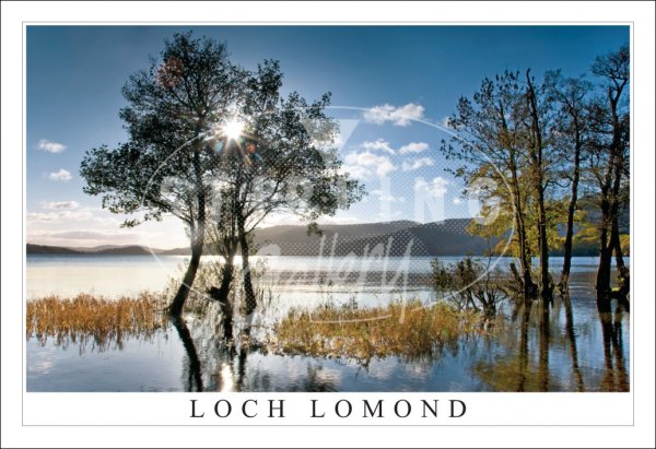 Loch Lomond, Sun Burst, Autumn Postcard (H SG)