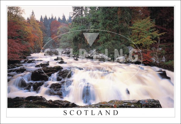 River Bran, Hermitage, Dunkeld, Scotland Postcard (H SG)