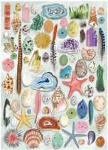 Jigsaw Art File Natural Curiosities 1000pc (Jan)