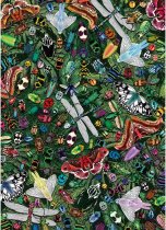 Jigsaw Art File Entomology 1000pc (Feb)