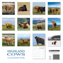 2026 Calendar Highland Cows (2 for 10v) (Mar)