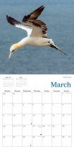 2026 Calendar Natural Scotland (2 for 10v) (Mar)