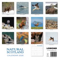 2026 Calendar Natural Scotland (2 for 10v) (Mar)