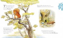 Tale of Squirrel Nutkin, The