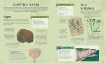 Fossil Hunter Handbook, The (Jul)