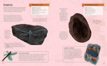 Fossil Hunter Handbook, The (Jul)