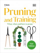 RHS Pruning & Training (Jun)