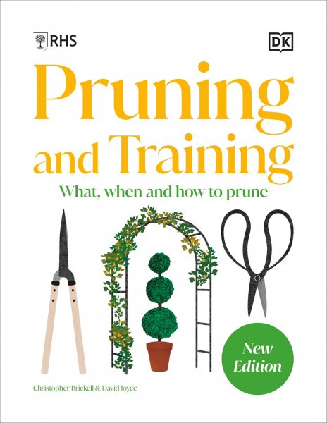 RHS Pruning & Training (Jun)