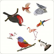 Bird Spotter (Aug)