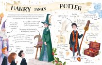 Pocket Potters: Harry Potter (Aug)