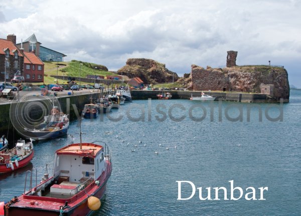 Dunbar Magnet (H LY)