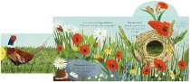 Big Outdoors for Little Explorers: Countryside