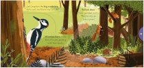 Big Outdoors for Little Explorers: Woods