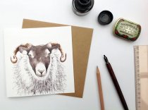 Blackface Sheep Greetings Card (BA)