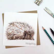 Hedgehog Greetings Card (BA)