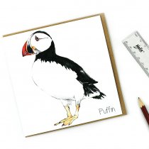 Puffin Greetings Card (BA)