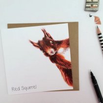 Red Squirrel Greetings Card (BA)