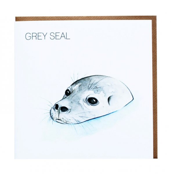 Grey Seal Greetings Card (BA)