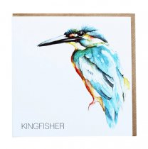 Kingfisher Greetings Card (BA)