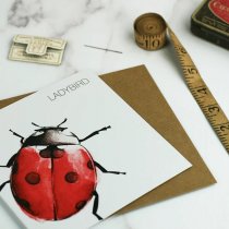 Ladybird Greetings Card (BA)