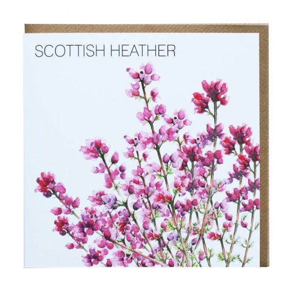 Scottish Heather Greetings Card (BA)