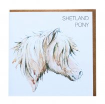 Shetland Pony Greetings Card (BA)
