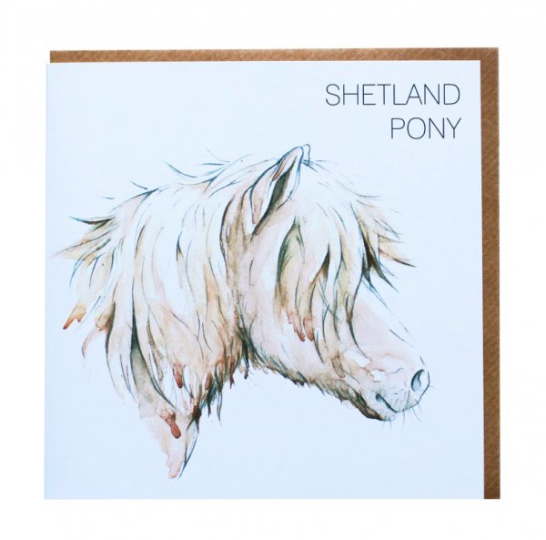 Shetland Pony Greetings Card (BA)