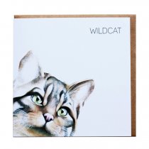 Wildcat Greetings Card (BA)