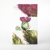 Tea Towel Thistle Flower of Scotland