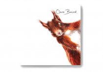 Sticky Notes Red Squirrel