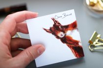 Sticky Notes Red Squirrel