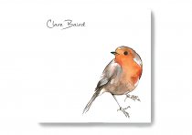 Sticky Notes Robin