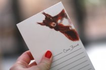 Magnetic Notepad Red Squirrel