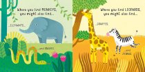 First Book & Jigsaw Wild Animals (Nov)