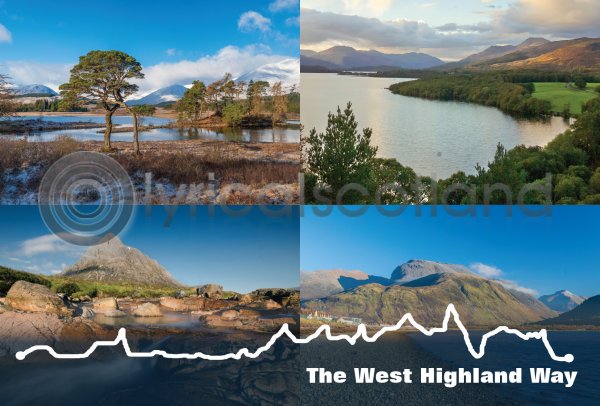 West Highland Way Elevation Composite Postcard (H A6 LY)