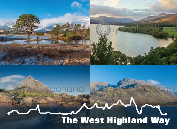 West Highland Way Elevation Composite Magnet (H LY)