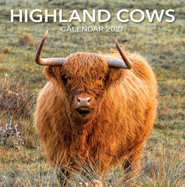 2027 Calendar Highland Cows (2 for 10v) (Mar)