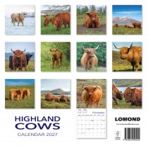 2027 Calendar Highland Cows (2 for 10v) (Mar)