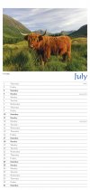 2027 Calendar Highland Cows Appointments (2 for 10v) (Mar)