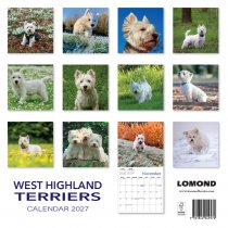 2027 Calendar West Highland Terriers (2 for 10v) (Mar)