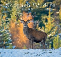 2027 Calendar Scottish Wildlife (Mar)