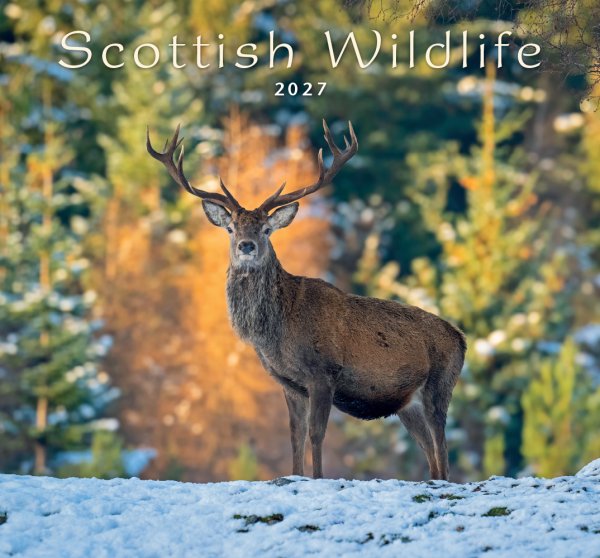 2027 Calendar Scottish Wildlife (Mar)