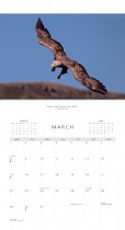 2027 Calendar Scottish Wildlife (Mar)