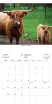 2027 Calendar Highland Cows (Mar)