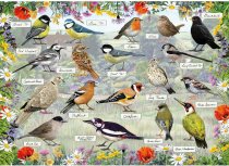 Jigsaw Blissful Birds 1000pc (Feb)