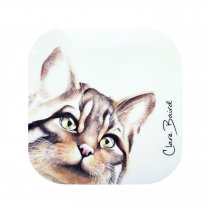 Wildcat Coaster (BA)