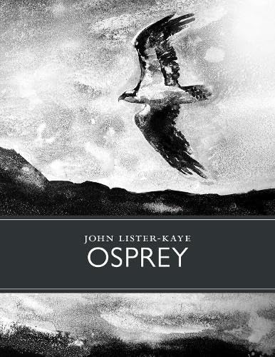 Osprey (Aug)